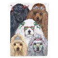 Carolines Treasures Carolines Treasures PPP3149CHF 28 x 0.01 x 40 in. Poodle Oodles Canvas House Flag PPP3149CHF